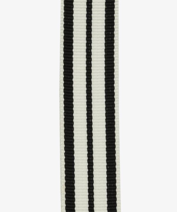 Hohenzollern, Ehrenkreuz, Goldene Ehrenmedaille, Fürstlich Hohenzollemscher Hausorden, Miniatur (372)